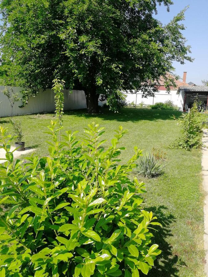 Zsuzsanna Vendeghaz Hotell Gyomaendrőd Eksteriør bilde
